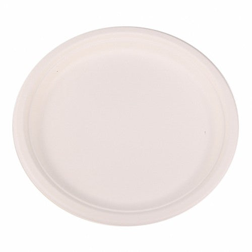 Biodegradable Plates 500 x Paper Plate White - 10inch